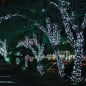 [은하수] 100구 녹색선 LED 백색 지니전구(10m) (전원잭별매) (연결가능)