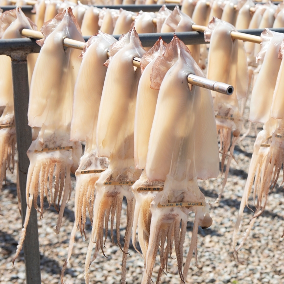[청정바다] 국내산 반건조 오징어(5마리) (700g 내외)