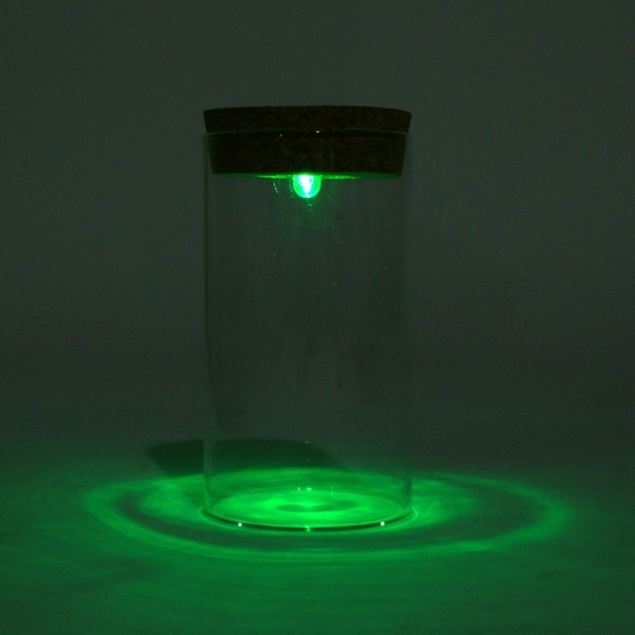 마리모 키우기 LED 유리병(6.5x12.5cm)