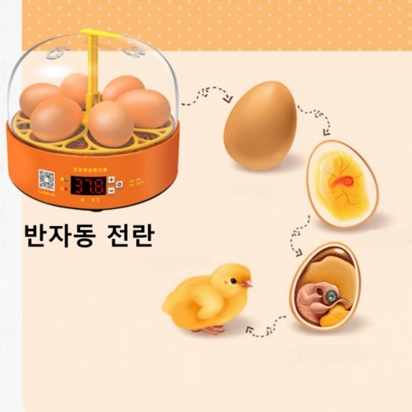 (해외직구)Xiaochong 6구 달걀부화기(반자동 전란)