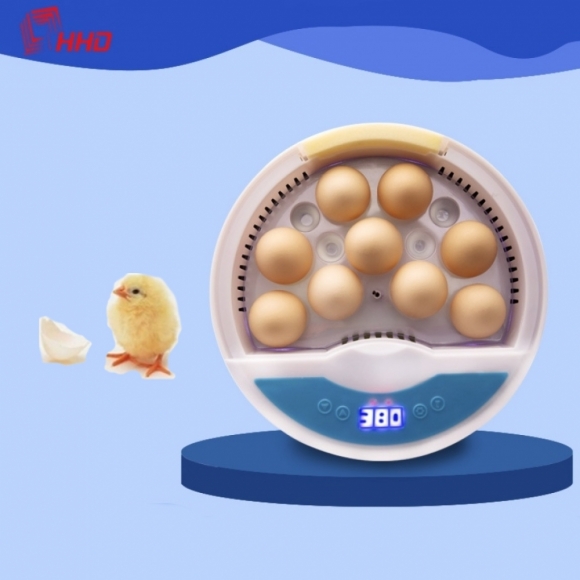 (해외직구)HHD 자동 항온 달걀부화기 EW-9(9구)
