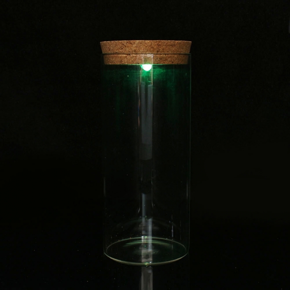 마리모 키우기 LED 유리병(8x19cm)