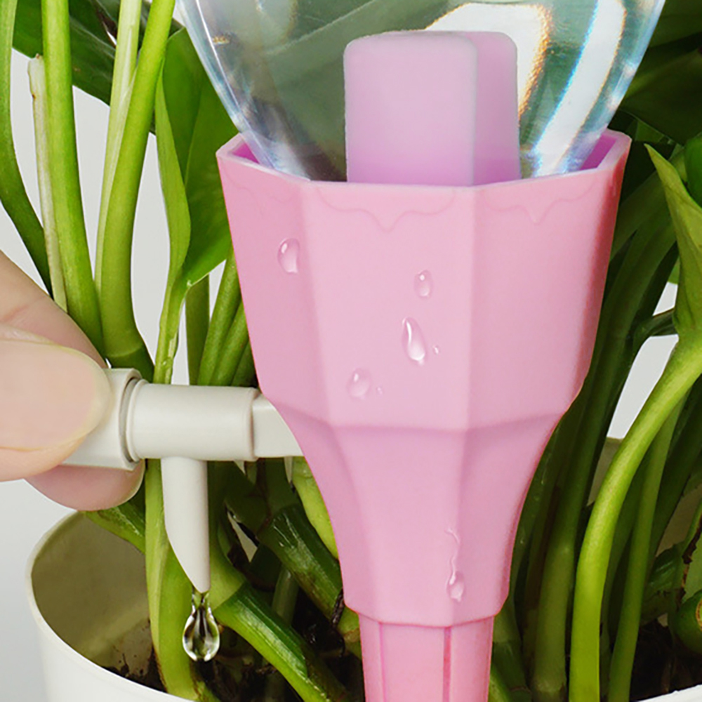 Oce 화분 관수 식물 급수기 물 공급기 6p 핑크 물꽂이 오토 시스템 예쁜 플랜테리어
