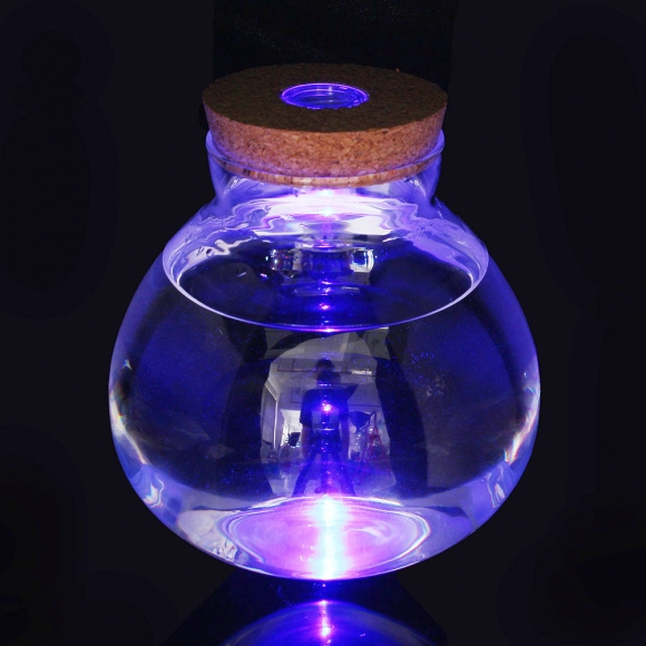 마리모 키우기 LED 코르크 유리병(15x16cm)