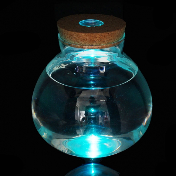마리모 키우기 LED 코르크 유리병(15x16cm)