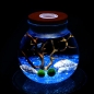 마리모 키우기 LED 코르크 유리병(12x13cm)