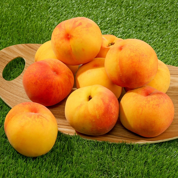 [초록자연] 황도 복숭아 4kg (19-20과) (소)