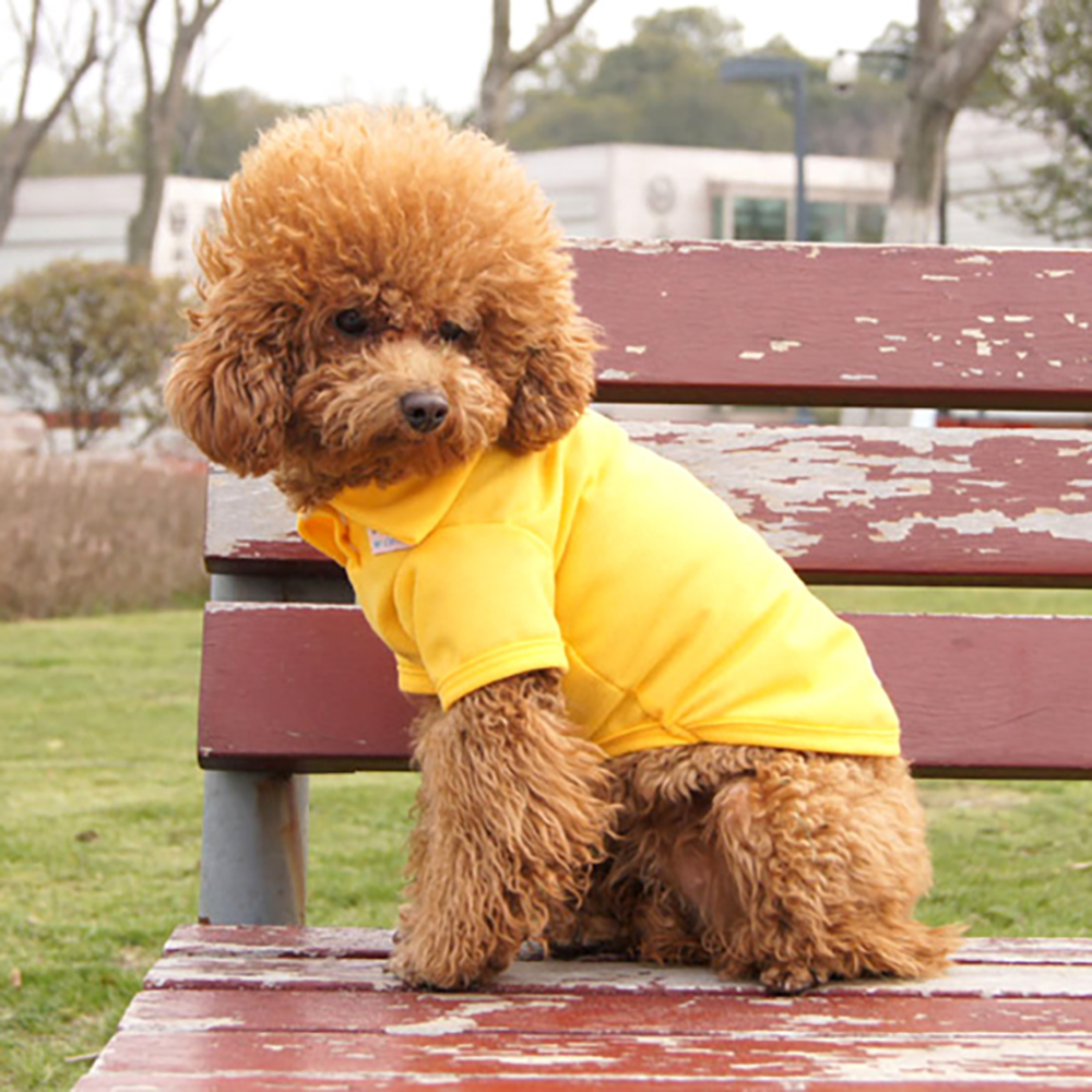 Oce 강아지 예쁜 옷 티셔츠 L 옐로우 반려견 실내복 강아지 의상 멍멍이 패션