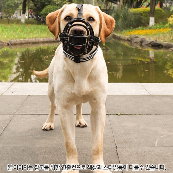 펫티켓 강아지 입마개(1호) (그레이)