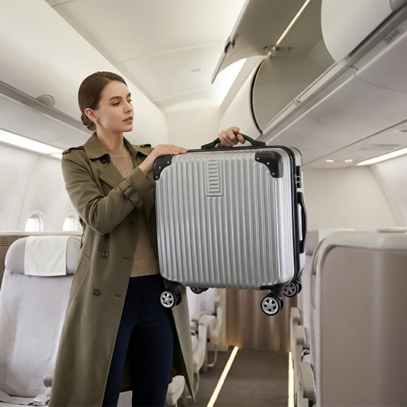 페이버릿 미니 캐리어(18형) (실버)