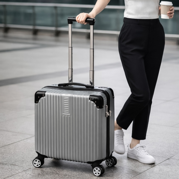 페이버릿 미니 캐리어(18형) (실버)