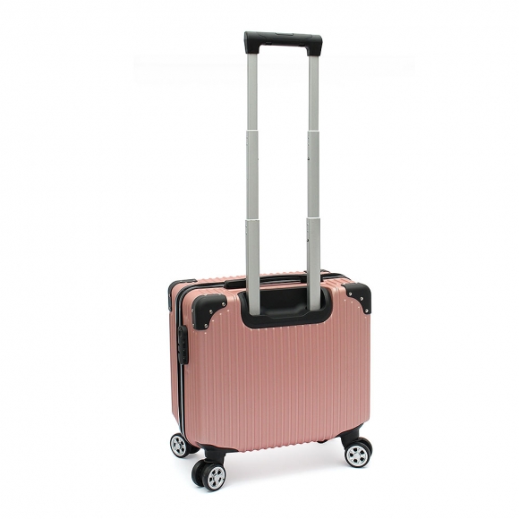 페이버릿 미니 캐리어(18형) (로즈골드)