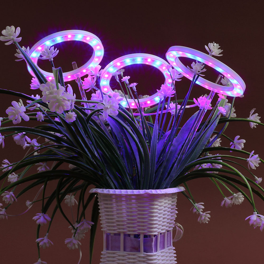 Oce LED 식물 성장등 화분 조명 3헤드 레드블루 화분빛 화분등 홈플랜트