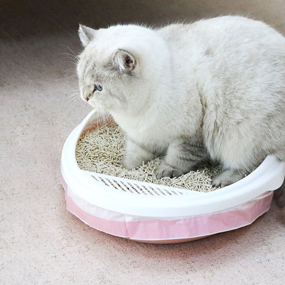 Oce 고양이 모래 변기 비닐 3롤 114x45 똥츄 배변통 씌우개 품백
