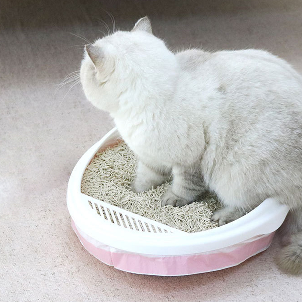 고양이 모래 변기 비닐 3롤 114x45 똥츄 배변통 씌우개 고양이 배변 봉투