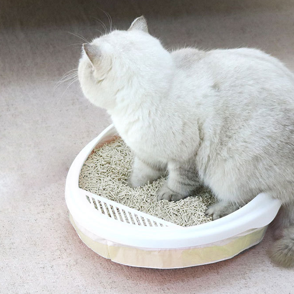 Oce 고양이 모래 변기 비닐 3롤 94x45 품백 비닐백 PE봉투