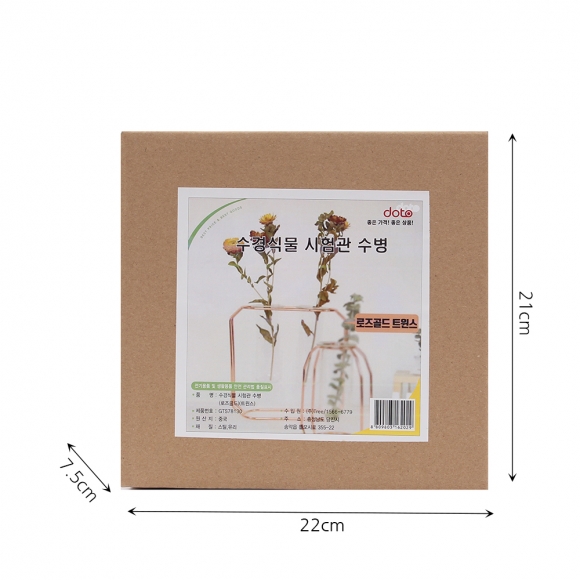 플랜테리어 시험관 꽃병(21x20cm) (로즈골드)