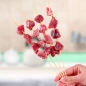 25cm 대나무 꼬치 1000p세트(두께0.3cm)