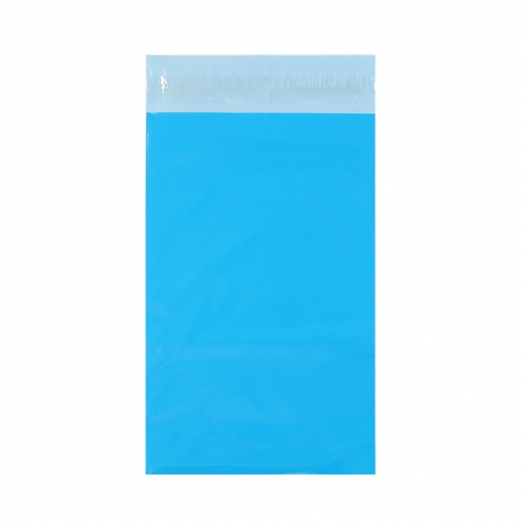 LDPE 택배봉투 100매(20x31cm) (블루)