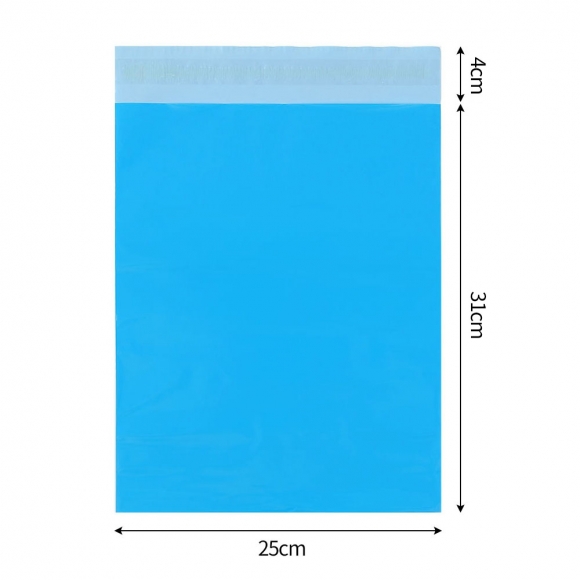 LDPE 택배봉투 100매(25x31cm) (블루)