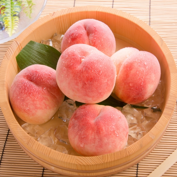[초록자연] 백도 복숭아 2.5kg (8과) (왕왕)