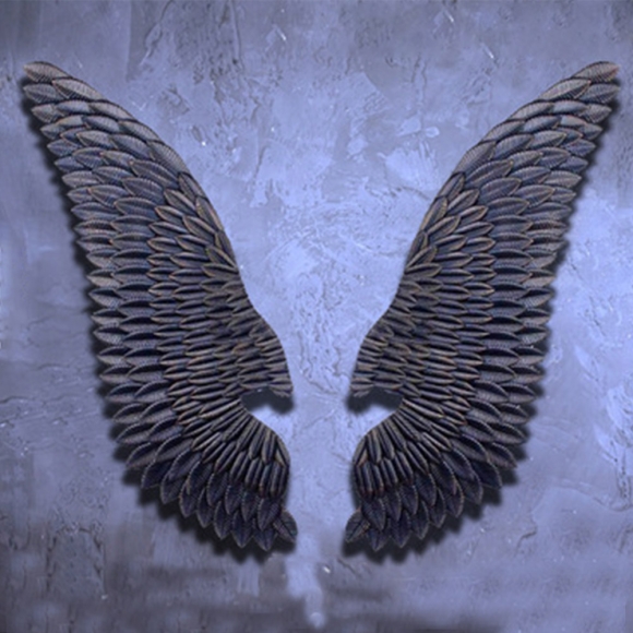 3D 입체 벽장식 천사날개 130cm (블랙)