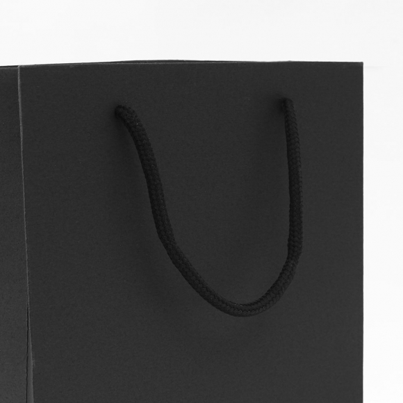 무지 세로형 쇼핑백 10p세트(25x33cm) (블랙)
