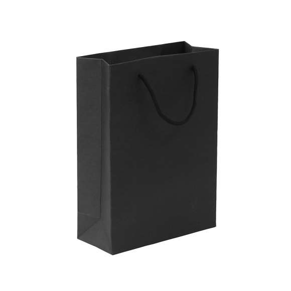 무지 세로형 쇼핑백 10p세트(13x19cm) (블랙)