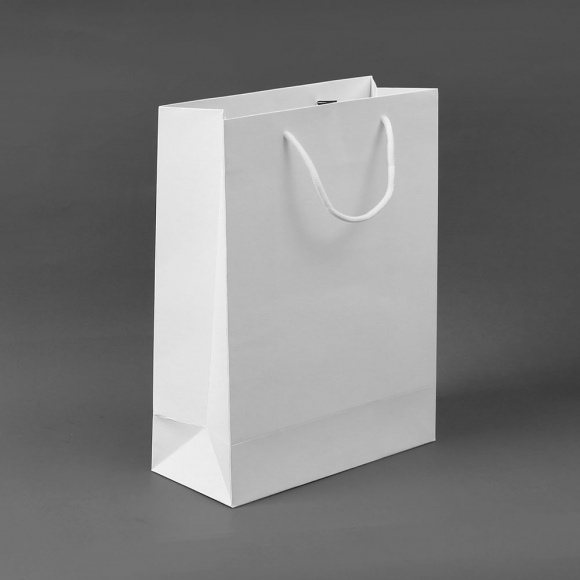 무지 세로형 쇼핑백 10p세트(25x33cm) (화이트)