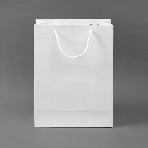 무지 세로형 쇼핑백 10p세트(19x26cm) (화이트)