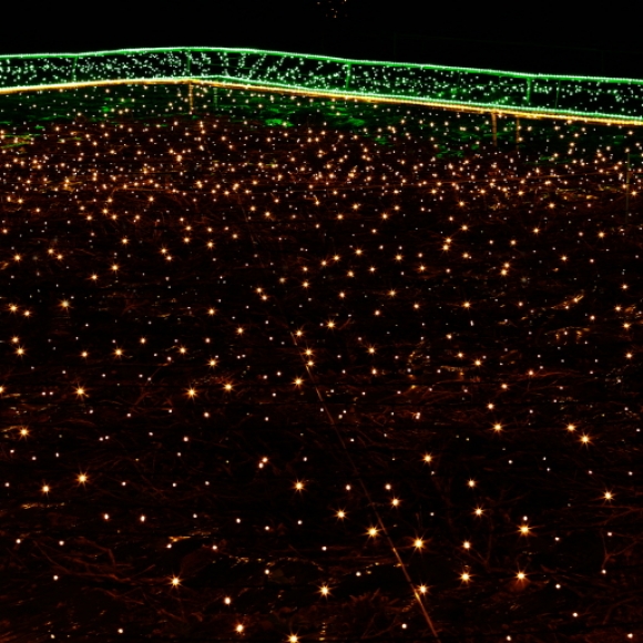 오스타 LED 1000구 녹색선 웜색 줄전구(100m) (전원잭포함)