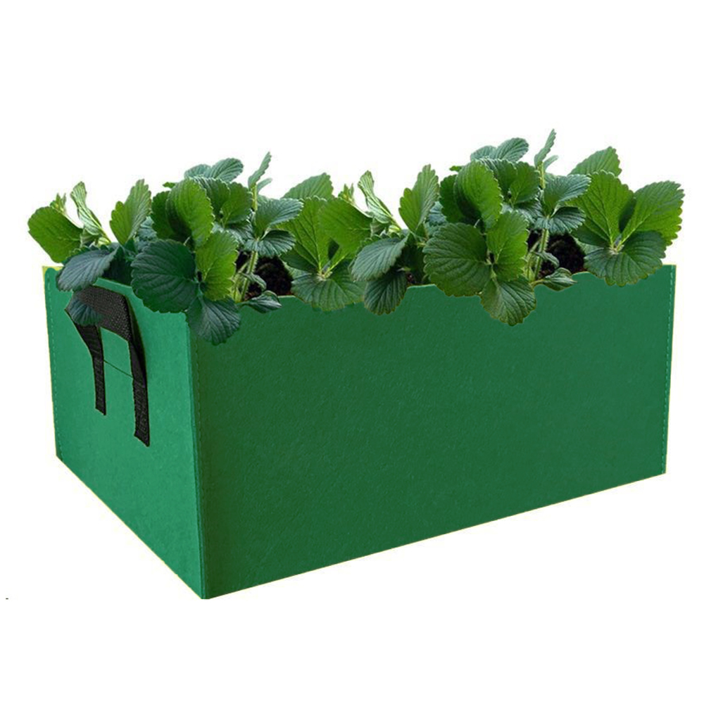 Oce 실내 발코니 옥상 채소 상추 화분 60x30cm 그린 야채 채소 재배기 가벼운 텃밭 상자 아파트 꾸미기 가꾸기