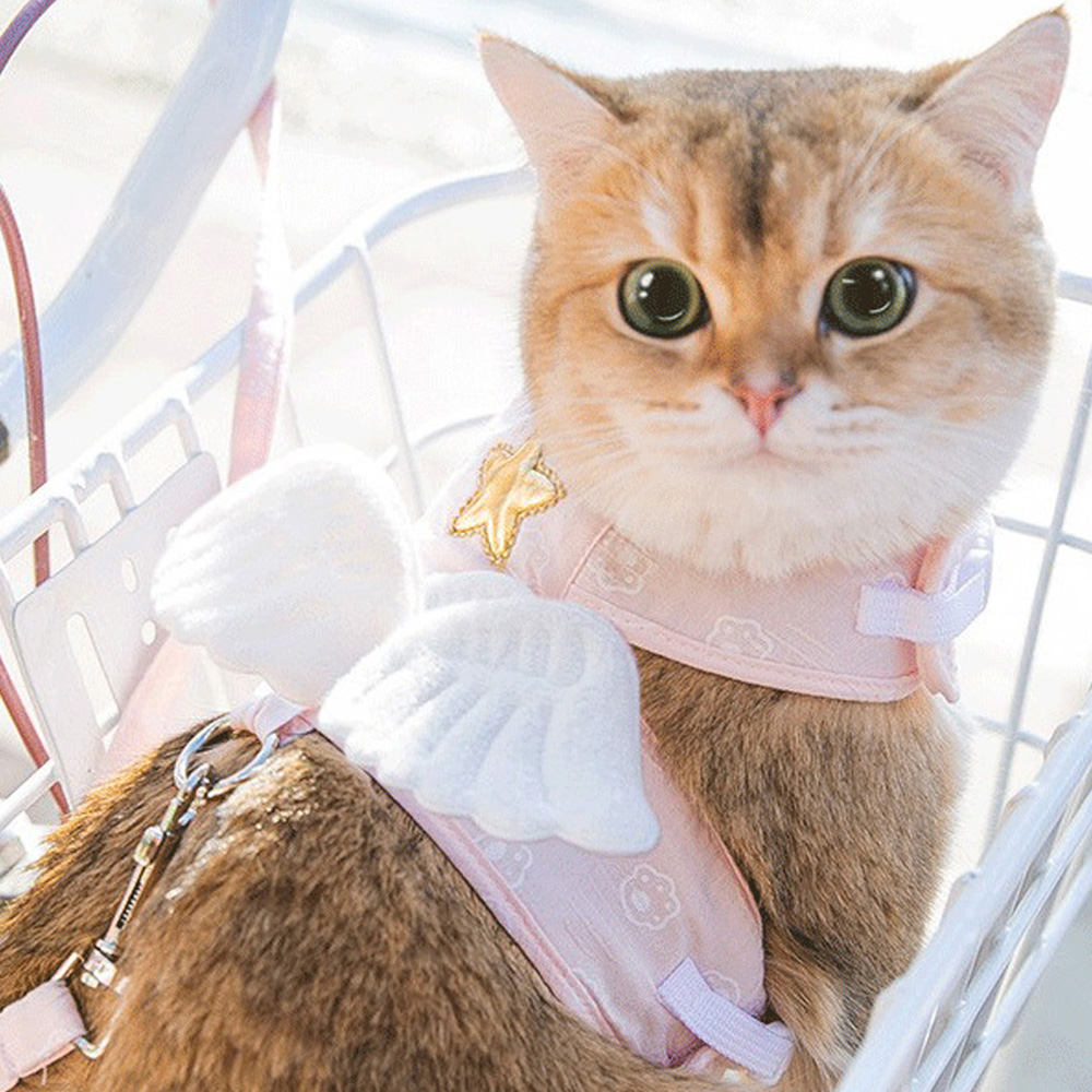 Oce 예쁜 천사 날개 하네스 리드줄 set XL 핑크 개 고양이 가슴줄 패션 애견 목줄 강아지 고양이 하네스