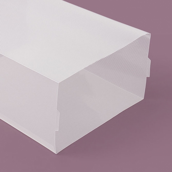 플립 투명 신발정리함 2p세트(블랙)