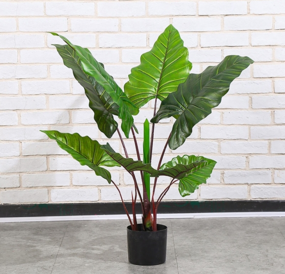 칼라테아나무 조화(80cm)