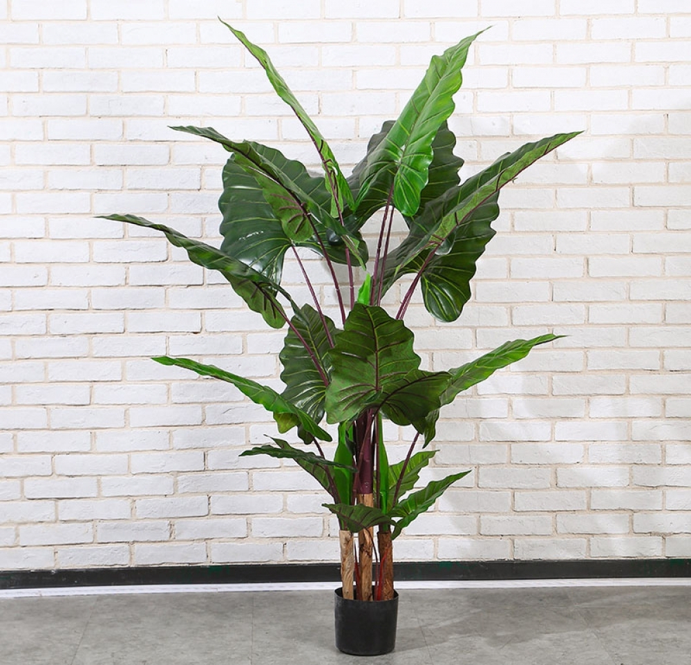칼라테아나무 조화(170cm)