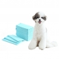 클린멍 강아지 배변패드 20매(도톰한) (60x90cm)