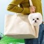 댕투게더 반려동물 이동가방(베이지)