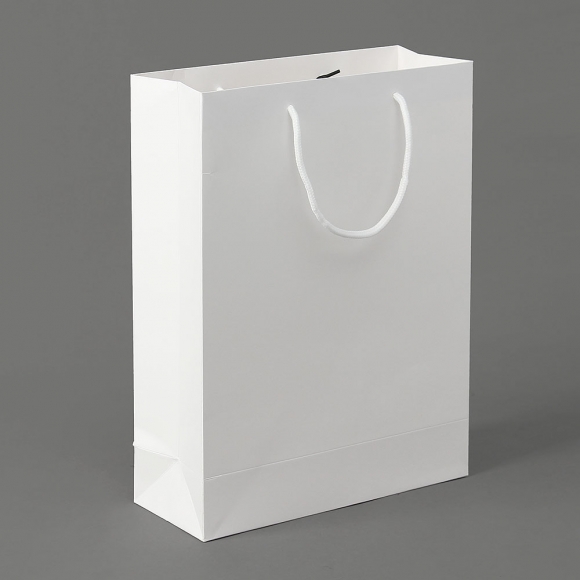 심플 세로형 종이 쇼핑백 5p세트(26x35cm) (화이트)   
