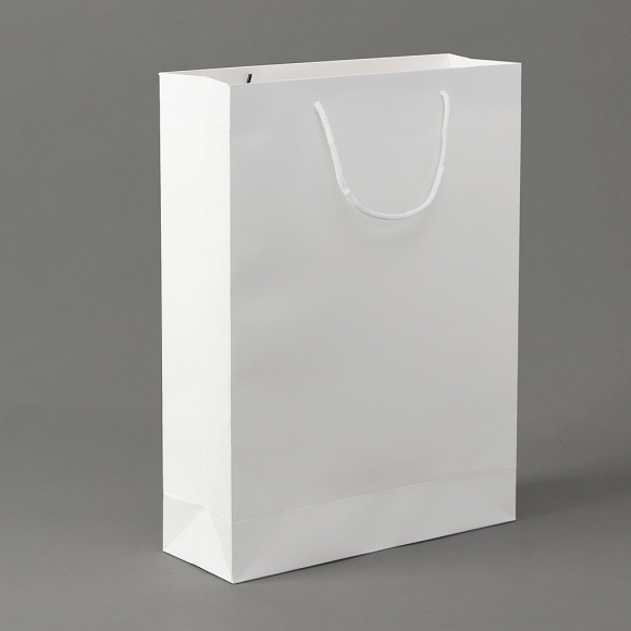 심플 세로형 종이 쇼핑백 5p세트(30x40cm) (화이트) 