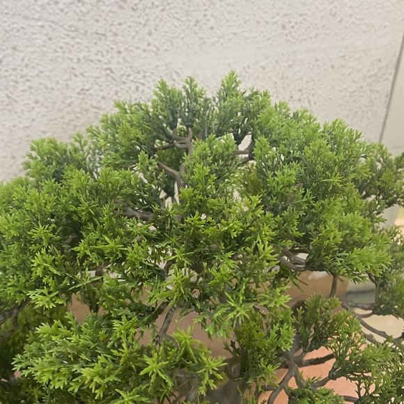 대형 측백나무 조화A (80cm)