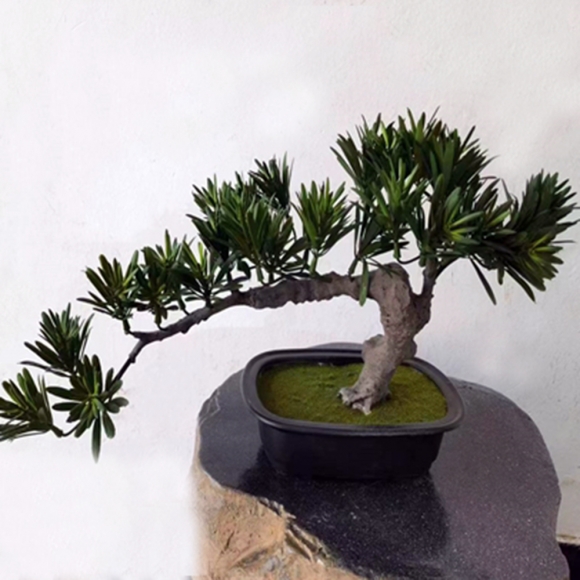 나한송 조화나무 8P (28cm)