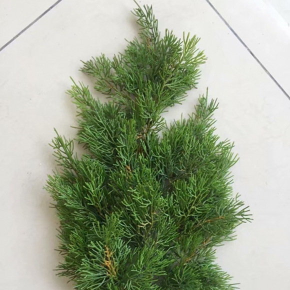 백송 조화나무 6P (50cm)