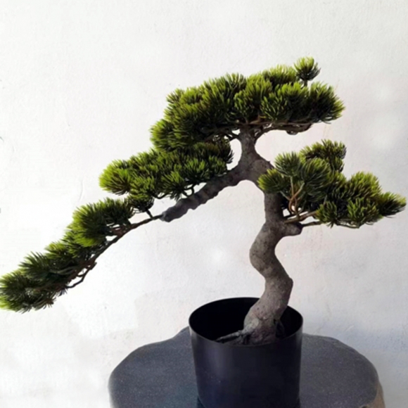 미인송 조화나무 8P (45cm)