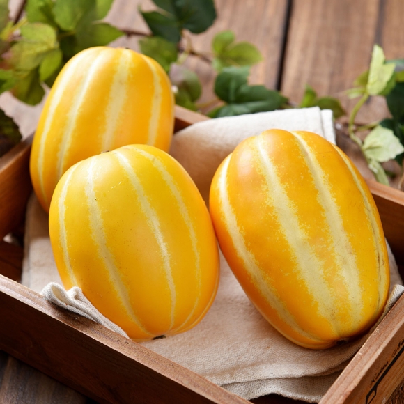 [초록자연] 성주 참외 가정용 2kg (12~14과내외)