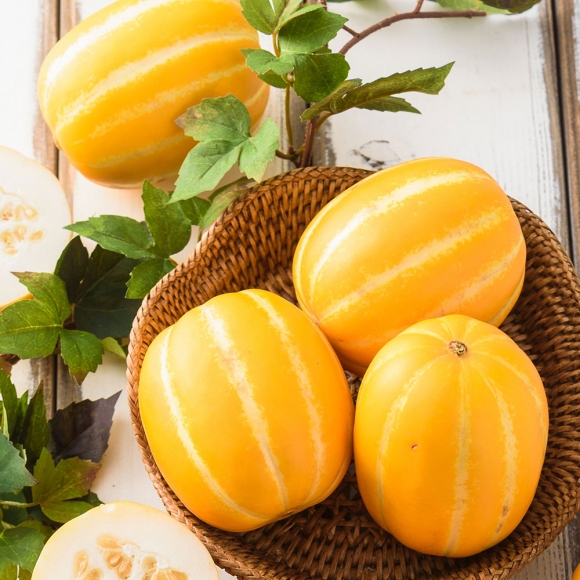 [초록자연] 성주 참외 가정용 2kg (12~14과내외)