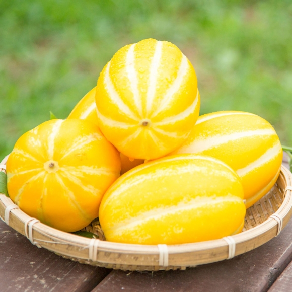 [초록자연] 성주 참외 가정용 2kg (12~14과내외)