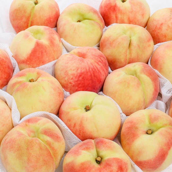 [초록자연] 딱딱이 복숭아 5kg(25-30과) (소소)