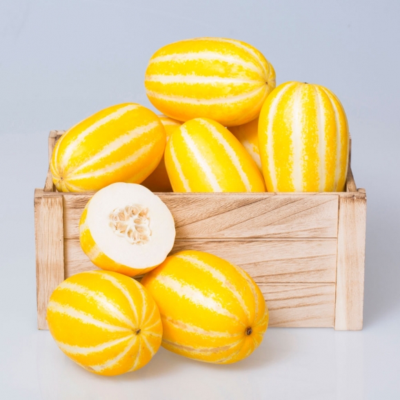[초록자연] 성주 못난이 참외 가정용 10kg (혼합)
