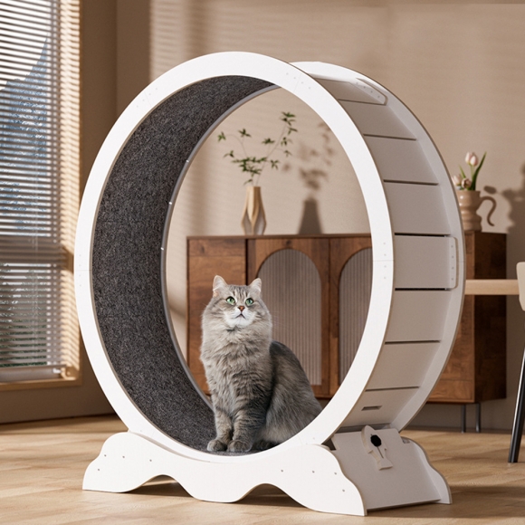 고양이 운동훈련 헬스 캣휠F(XL)